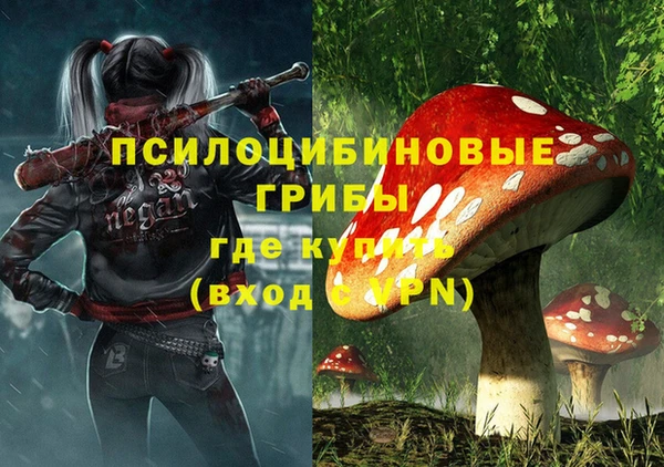 скорость Баксан