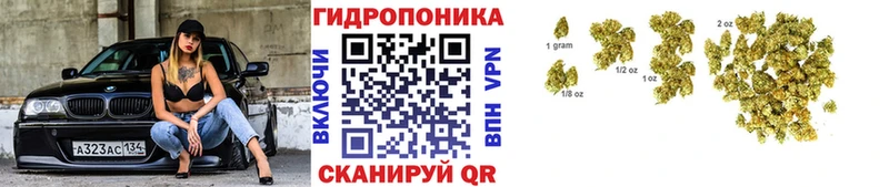 как найти наркотики  Олёкминск  Каннабис Bruce Banner 